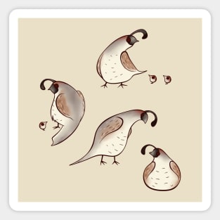 Rustic Quails Magnet